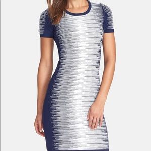 French Connection Dress